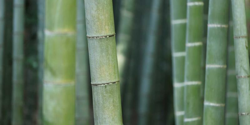 守护云端扬州:揭秘网警巡查执法账号的日常工作机制与《网络安全法》实践