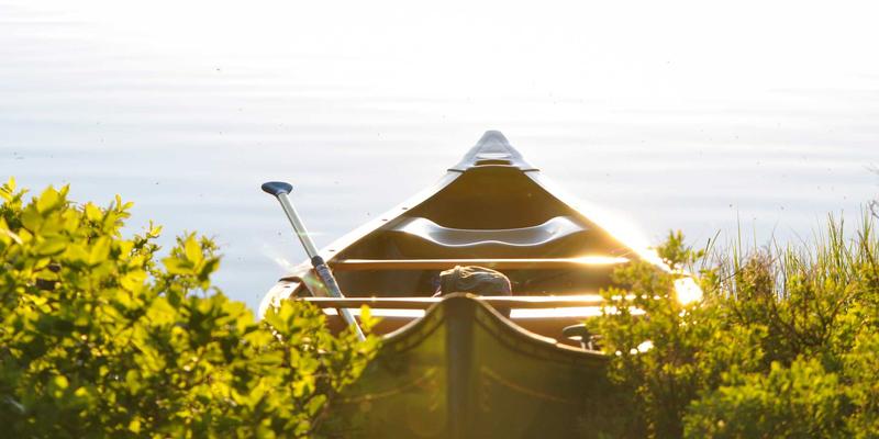 扬州网警如何亮剑？一文读懂网络谣言治理的法律依据与处置全流程