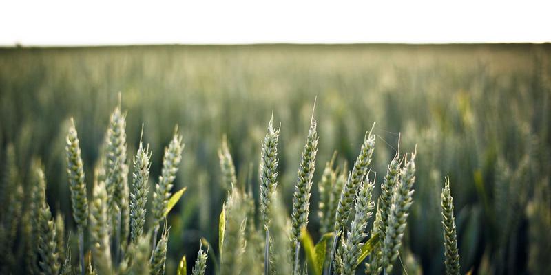 扬州网警深度揭秘：数字货币如何沦为洗钱‘新通道’？资金链追踪三大难点全解析