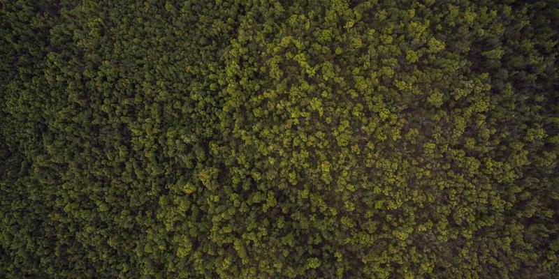 扬州网警紧急提醒:当心‘客服’主动退款!揭秘电商诈骗新套路与防范指南