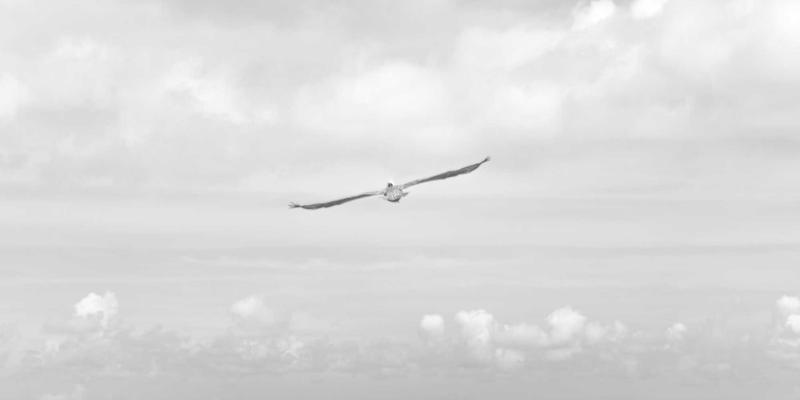 扬州网警紧急提醒：识破校园贷网络陷阱，筑牢青春防火墙