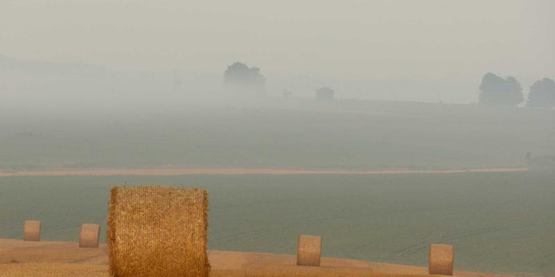 【网警公告】警惕AI换脸诈骗!扬州网警深度剖析新型网络犯罪手法与防范指南